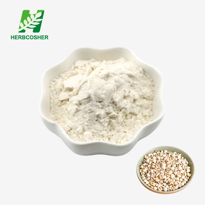 Coix Seed Extract Powder